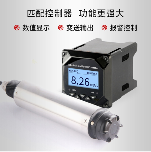 在线式溶解氧测定仪